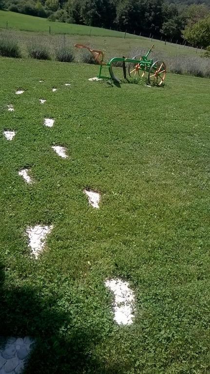 فندق Agroturism Stara Stala Borut المظهر الخارجي الصورة