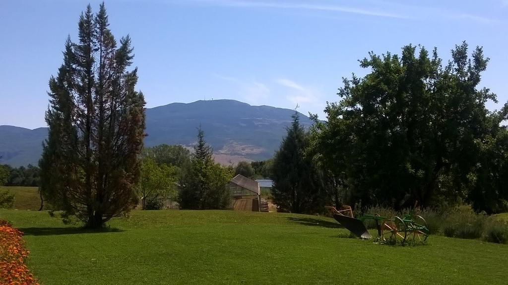 فندق Agroturism Stara Stala Borut المظهر الخارجي الصورة