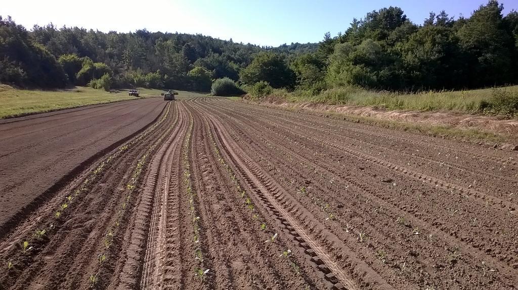 فندق Agroturism Stara Stala Borut المظهر الخارجي الصورة