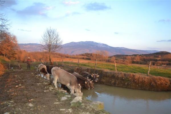 فندق Agroturism Stara Stala Borut المظهر الخارجي الصورة